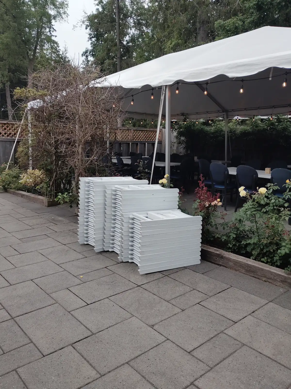 Real tent and patio party setup with string lights by Friendly Party Rental